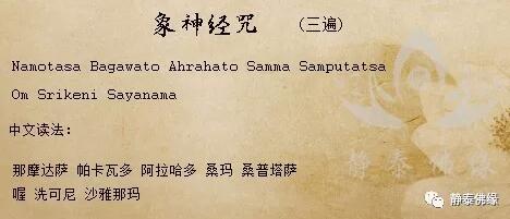 象神经咒